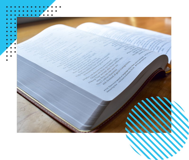 about-the-berean-study-bible Home